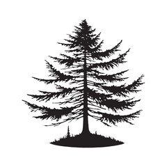 Elegant Hemlock Tree silhouette with a detailed root system - Hemlock tree silhouette - Hemlock tree vector - Hemlock tree illustration - Hemlock silhouette - Hemlock vector
