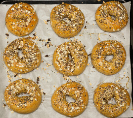 Freshly baked New York style Bagels with everything seasoning on a plate. 