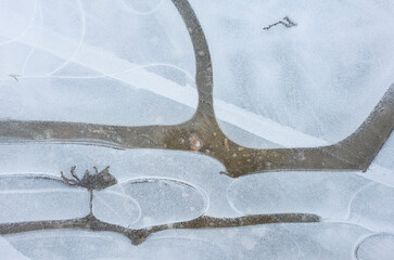Frozen puddle background, Abstract ice pattern with organic lines and shapes reminding of landscape with lonely standing tree