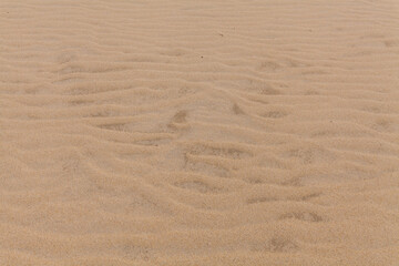 A close-up shot of rippled sand with subtle footprints, showcasing the texture and natural patterns of a sandy surface.