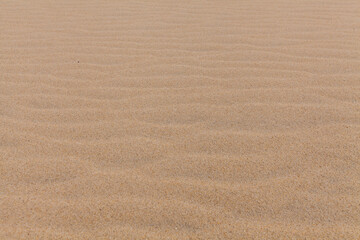 A close-up shot of rippled sand with subtle footprints, showcasing the texture and natural patterns of a sandy surface.