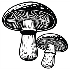 Mushroom vector illustration