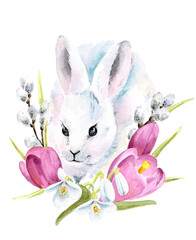 White rabbit, hand painted watercolor illustration on paper