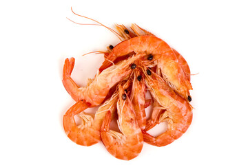 Shrimps, king prawns, isolated on white background.