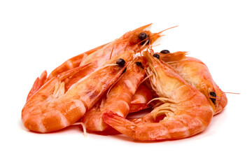 Shrimps, king prawns, isolated on white background.