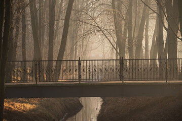Park w Goczałkowice zdrój we mgle. © Elżbieta Kaps