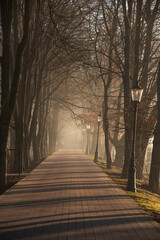 Park w Goczałkowice zdrój we mgle. © Elżbieta Kaps