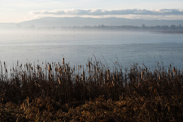 Krajobraz nad wodą, Goczałkowice zdrój, mglisty poranek. 