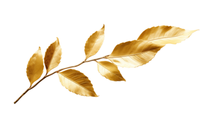 Golden Branch with Leaves Elegant Nature Design for Luxury Branding Cosmetics and Wellness