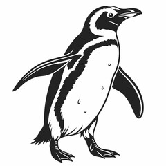 Fototapeta premium penguin vector silhouette black design white background