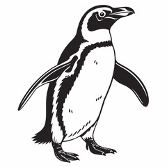 penguin vector silhouette black design white background