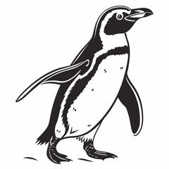 Fototapeta premium penguin vector silhouette black design white background