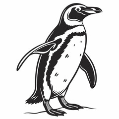 penguin vector silhouette black design white background