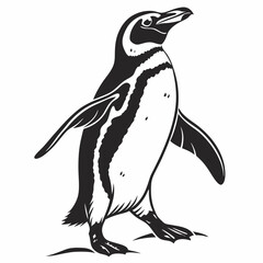 penguin vector silhouette black design white background