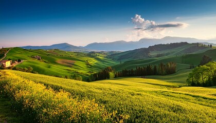 Fototapeta premium landscape of region