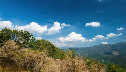 Obraz premium the sky is clear