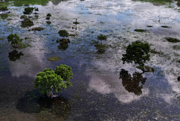 sunset in the Brazilian Pantanal