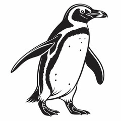 penguin vector silhouette black design white background