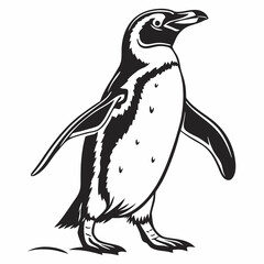 penguin vector silhouette black design white background