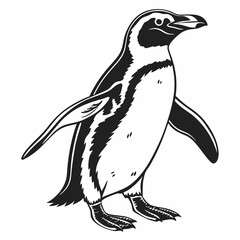 penguin vector silhouette black design white background