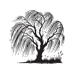 Weeping Willow Tree silhouette with a soft, flowing trunk - Weeping Willow Tree silhouette - Weeping Willow Tree vector - Weeping Willow Tree illustration - Willow silhouette - Willow vector
