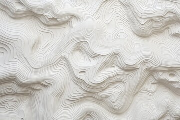 Topographical Map: A Simple Guide to Orienteering with Gradient lines, Topology and Heights in Black and White