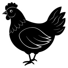 Cute Chicken Line Art Silhouette Black Vector Carton Illustration