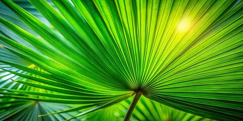Obraz premium Lush Green Palm Leaf Macro Shot - High-Resolution Stock Photo