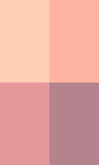 Blush Tone Color Block