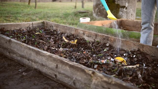 The gardener waters the seeds and beds with a watering can.