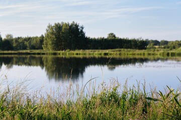 Staw, woda, sadzawka, jezioro, odbicie w wodzie
