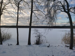 landscape of frozen lake with trees and snow
