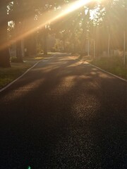 morning sun rays in the village