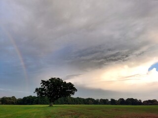 rainbow over the fields