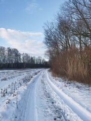 land path in the snow