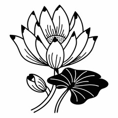 illustration of a lotus