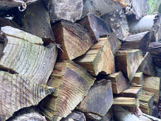Close-up view of neatly stacked firewood in a serene forest