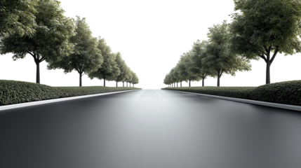 Endless Road: A long, straight road disappears into the distance, framed by rows of lush green trees, promising new horizons and endless possibilities. The blacktop is clean and smooth.
