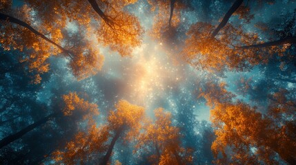 Obraz premium Captivating autumn forest canopy nature aerial perspective enchanting atmosphere