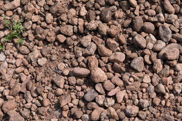 Closeup of Pebble Pile on Ground
