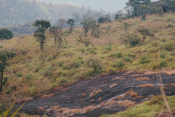 Landscape view of mountain green