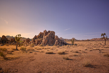 landscape in the desert