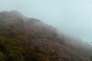 Misty Mountain Slope with Autumnal Vegetation