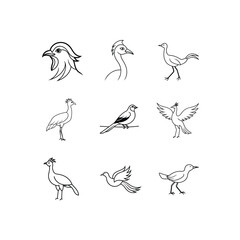 a print elegant secretary bird line art vector  Illustration