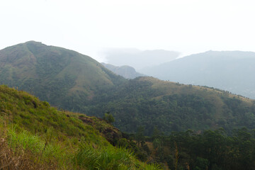 Fototapeta premium Mountain landscape at Munnar Kerala