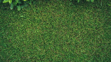 Bright green grass texture with a close-up view of blades creating a fresh, natural background.