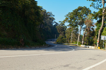 Serene Mountain Road Curving Through Lush Forest