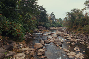Rocky Stream in the Forest