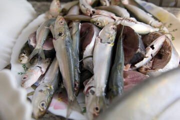 Variety of fresh fish in the market closeup of photo