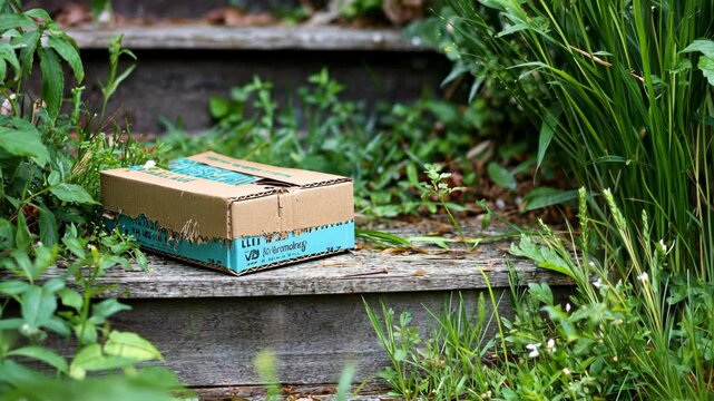 Delivery package resting on wooden steps surrounded by lush green plants in a serene outdoor setting